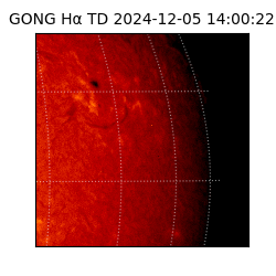 gong - 2024-12-05T14:00:22