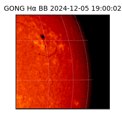 gong - 2024-12-05T19:00:02