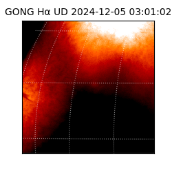 gong - 2024-12-05T03:01:02