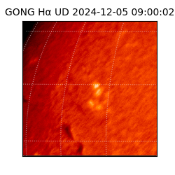 gong - 2024-12-05T09:00:02