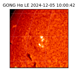 gong - 2024-12-05T10:00:42