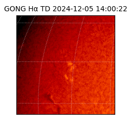 gong - 2024-12-05T14:00:22