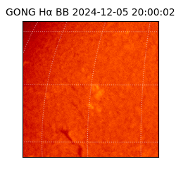 gong - 2024-12-05T20:00:02