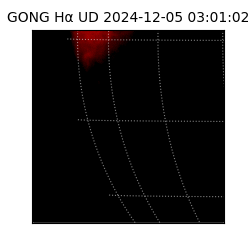 gong - 2024-12-05T03:01:02