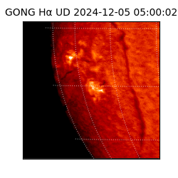 gong - 2024-12-05T05:00:02