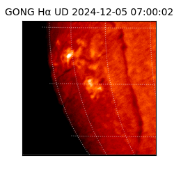 gong - 2024-12-05T07:00:02