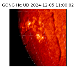 gong - 2024-12-05T11:00:02