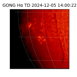 gong - 2024-12-05T14:00:22
