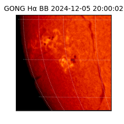 gong - 2024-12-05T20:00:02