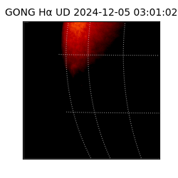 gong - 2024-12-05T03:01:02