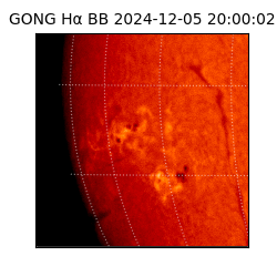 gong - 2024-12-05T20:00:02