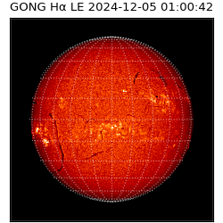 gong - 2024-12-05T01:00:42