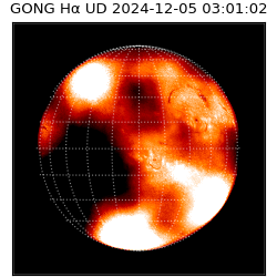 gong - 2024-12-05T03:01:02