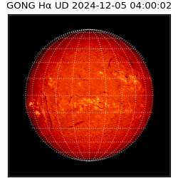 gong - 2024-12-05T04:00:02