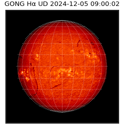 gong - 2024-12-05T09:00:02