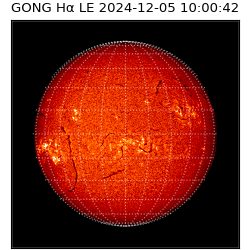 gong - 2024-12-05T10:00:42