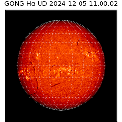 gong - 2024-12-05T11:00:02