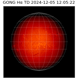 gong - 2024-12-05T12:05:22