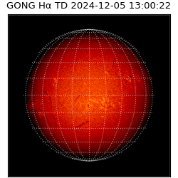 gong - 2024-12-05T13:00:22
