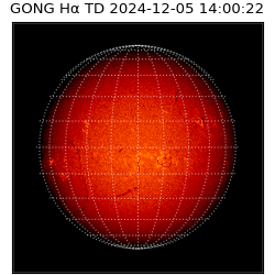 gong - 2024-12-05T14:00:22