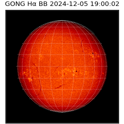 gong - 2024-12-05T19:00:02