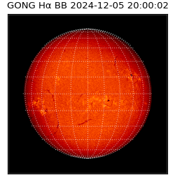 gong - 2024-12-05T20:00:02