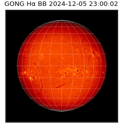gong - 2024-12-05T23:00:02