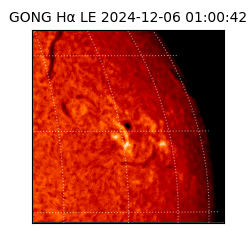 gong - 2024-12-06T01:00:42