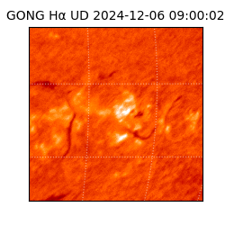 gong - 2024-12-06T09:00:02