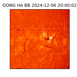 gong - 2024-12-06T20:00:02