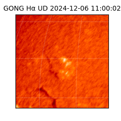gong - 2024-12-06T11:00:02