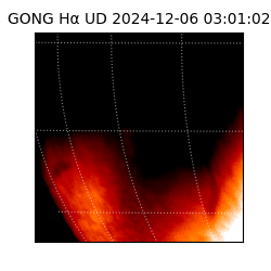 gong - 2024-12-06T03:01:02