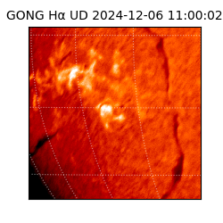 gong - 2024-12-06T11:00:02