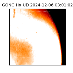 gong - 2024-12-06T03:01:02