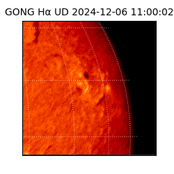 gong - 2024-12-06T11:00:02