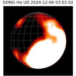 gong - 2024-12-06T03:01:02