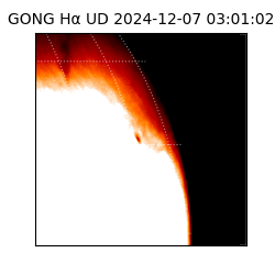 gong - 2024-12-07T03:01:02