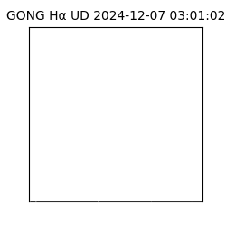 gong - 2024-12-07T03:01:02