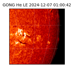 gong - 2024-12-07T01:00:42