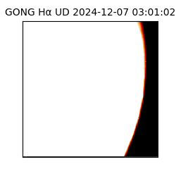 gong - 2024-12-07T03:01:02