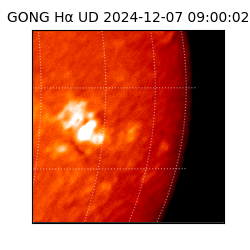 gong - 2024-12-07T09:00:02