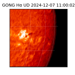 gong - 2024-12-07T11:00:02