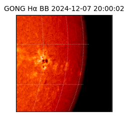 gong - 2024-12-07T20:00:02