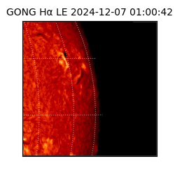 gong - 2024-12-07T01:00:42