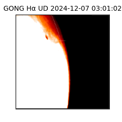 gong - 2024-12-07T03:01:02