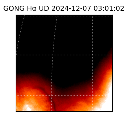 gong - 2024-12-07T03:01:02