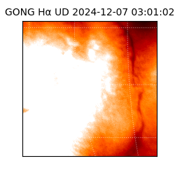 gong - 2024-12-07T03:01:02