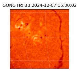 gong - 2024-12-07T16:00:02