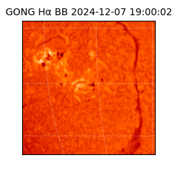 gong - 2024-12-07T19:00:02