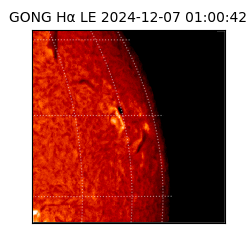 gong - 2024-12-07T01:00:42